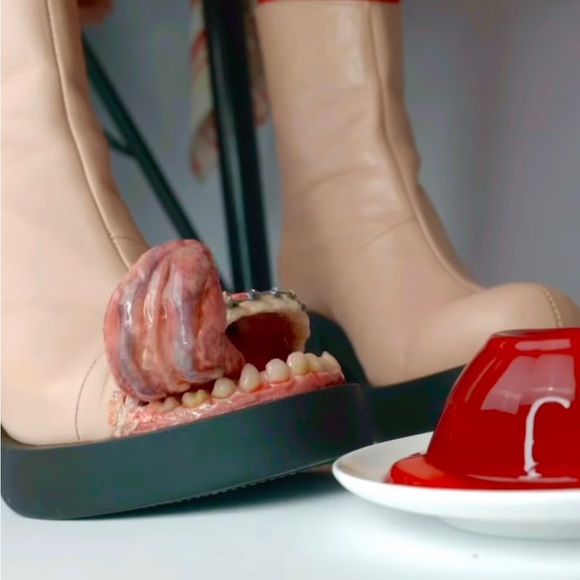 Meet your Posher, Jogie - Picture 1 of 1